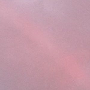 Meet your Posher, Olive